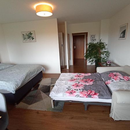 Exklusives Apartment Zw. Lu Und Speyer Mit Aufzug Neuhofen ภายนอก รูปภาพ